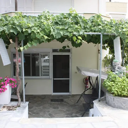 Paradise * 리메나스